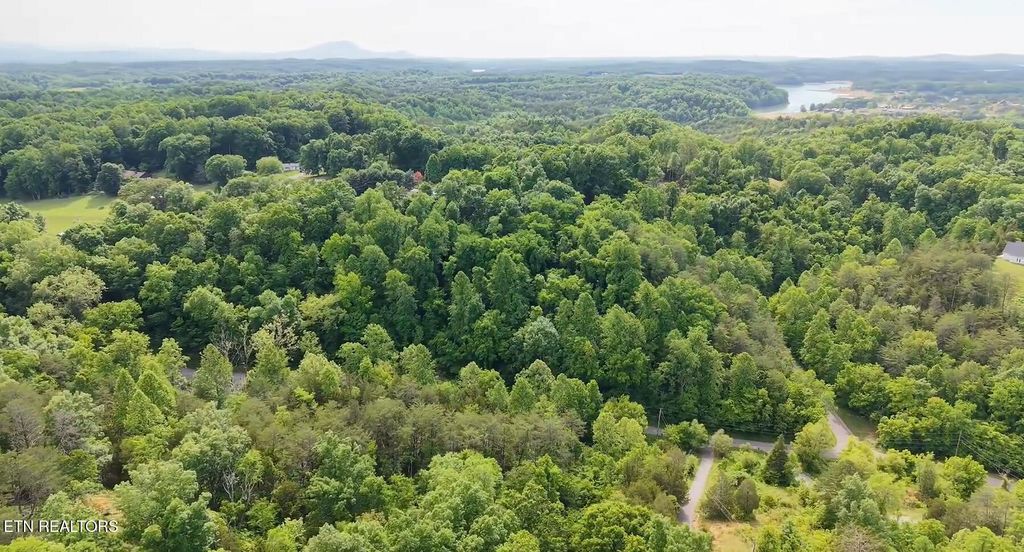 Photo of Pheasant Court, Sevierville, TN 37876 (MLS # 1339629)