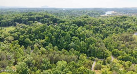 Tiny photo for Pheasant Court, Sevierville, TN 37876 (MLS # 1339629)