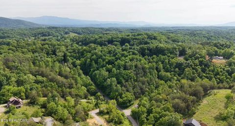 Tiny photo for Pheasant Court, Sevierville, TN 37876 (MLS # 1339629)