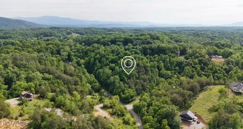 Tiny photo for Pheasant Court, Sevierville, TN 37876 (MLS # 1339629)