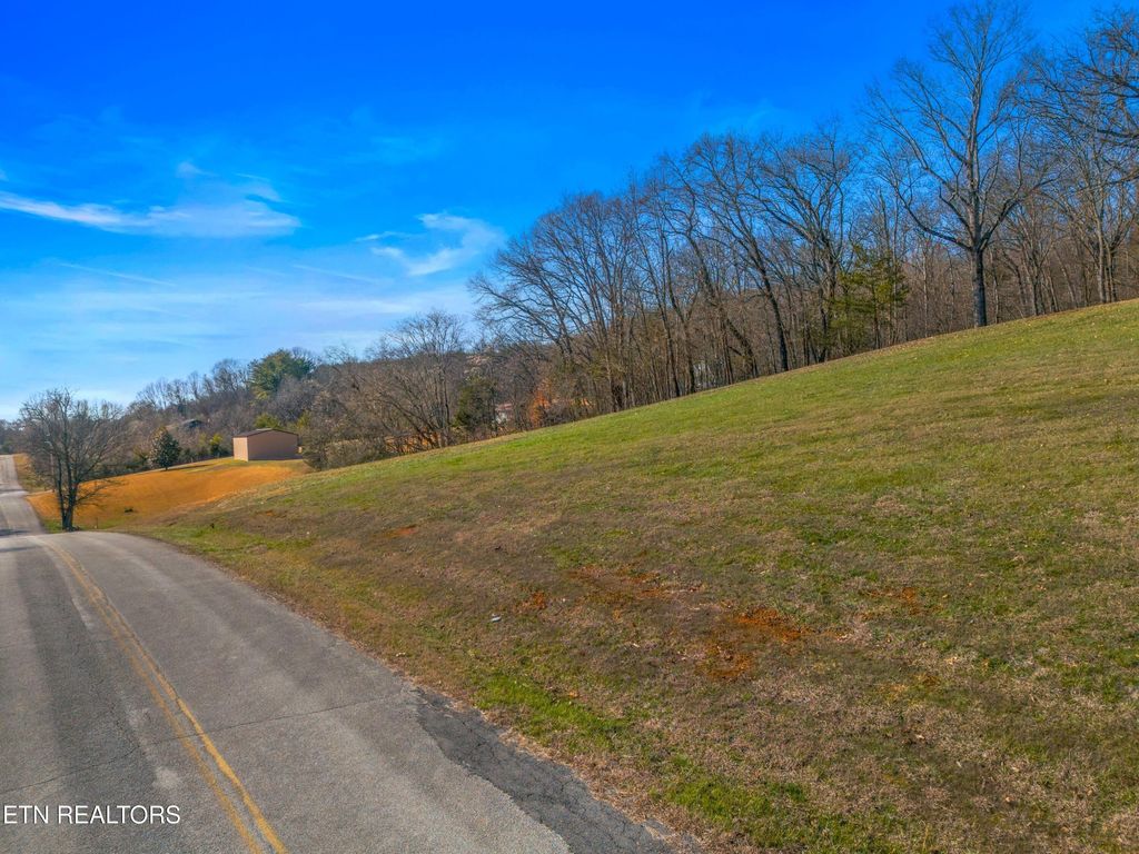 Photo of 312 E Cross Rd, Dandridge, TN 37725 (MLS # 1327033)