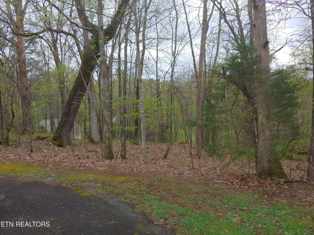 Photo of Tomahawk Tr, Maryville, TN 37801 (MLS # 1344067)