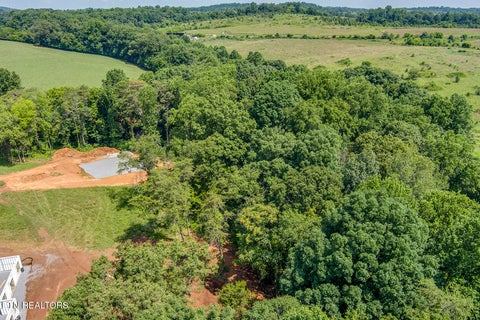 Tiny photo for 1114 Sophie Drive, Greenback, TN 37742 (MLS # 1348011)