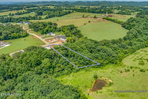 Tiny photo for 1114 Sophie Drive, Greenback, TN 37742 (MLS # 1348011)