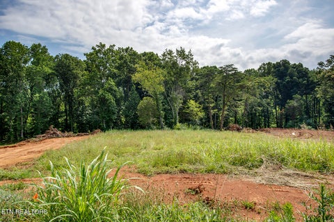 Tiny photo for 1114 Sophie Drive, Greenback, TN 37742 (MLS # 1348011)