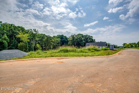 Tiny photo for 1114 Sophie Drive, Greenback, TN 37742 (MLS # 1348011)