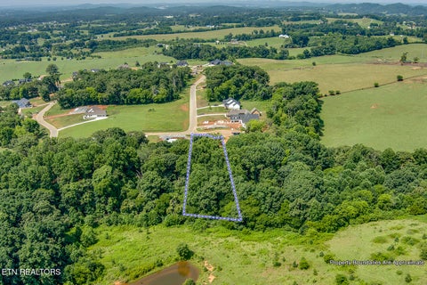 Tiny photo for 1114 Sophie Drive, Greenback, TN 37742 (MLS # 1348011)