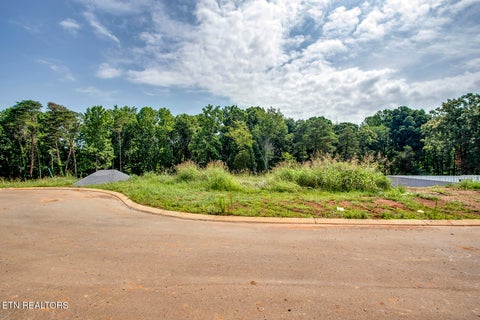 Tiny photo for 1114 Sophie Drive, Greenback, TN 37742 (MLS # 1348011)