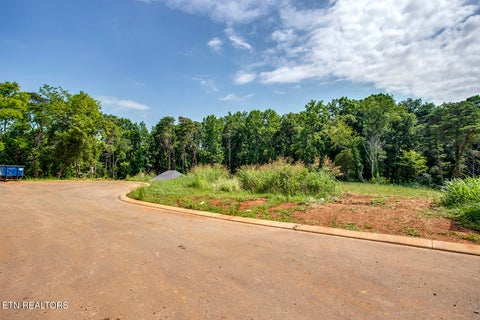Tiny photo for 1114 Sophie Drive, Greenback, TN 37742 (MLS # 1348011)