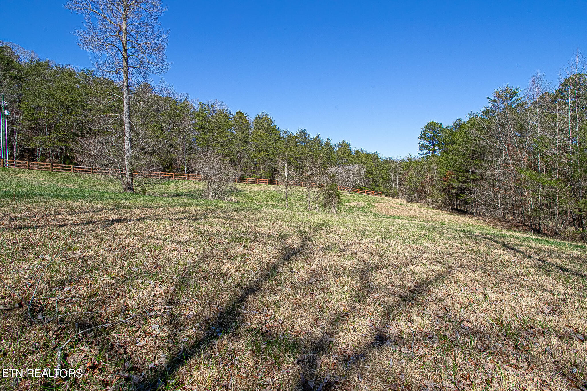 Photo 7 of 49 of 101 Clearwater Cove Drive land