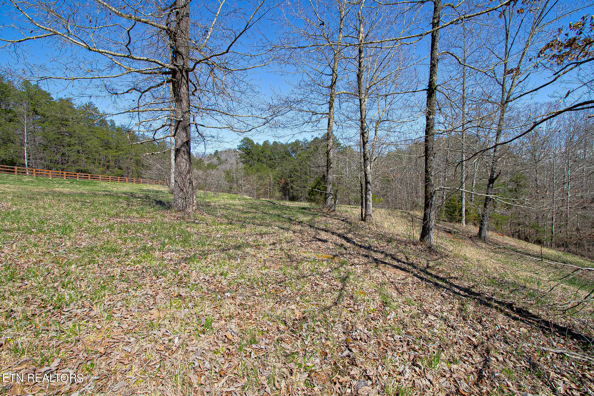 Photo 19 of 49 of 101 Clearwater Cove Drive land