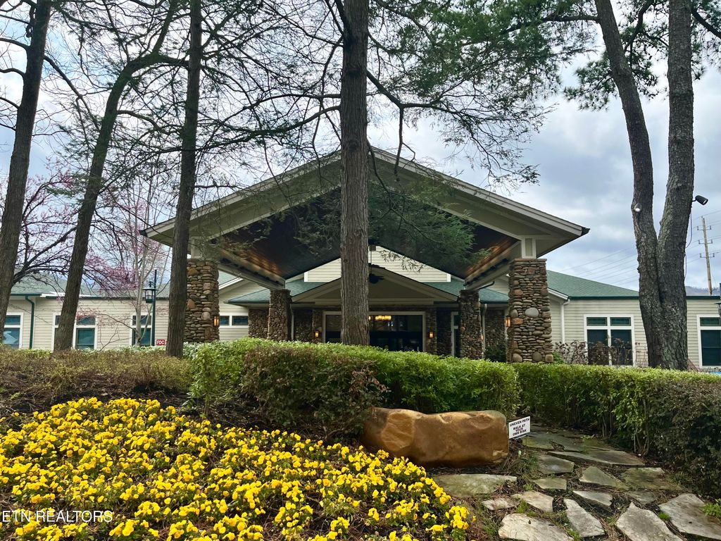 Photo of 212 Dollywood Lane #155, Pigeon Forge, TN 37863 (MLS # 1335565)