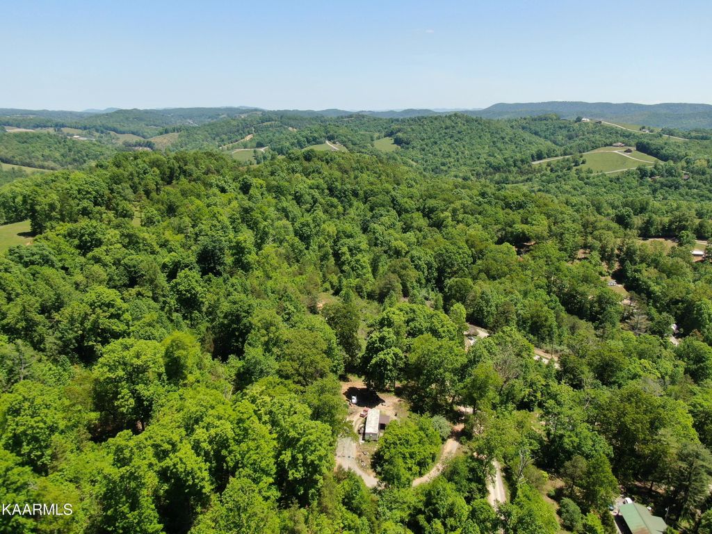 Photo of 208 Molly Hollow Rd, New Tazewell, TN 37825 (MLS # 1226840)