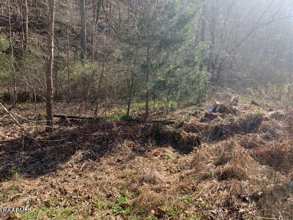 Photo of 25-E.So. Hwy, Tazewell, TN 37879 (MLS # 1221954)