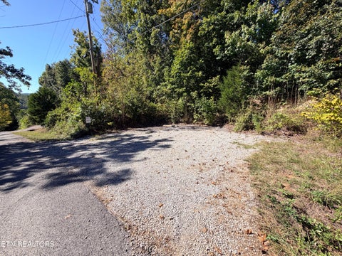 Tiny photo for 869 Flat Hollow Marina Rd, Speedwell, TN 37870 (MLS # 1357534)