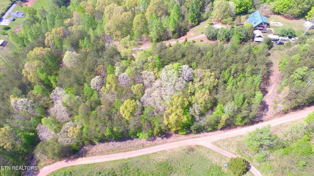 Photo of 000 Cagle Rd, Tellico Plains, TN 37385 (MLS # 1261493)