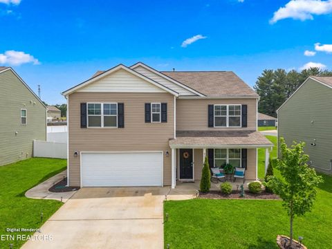 825 Green Meadow Dr Talbott TN 37877