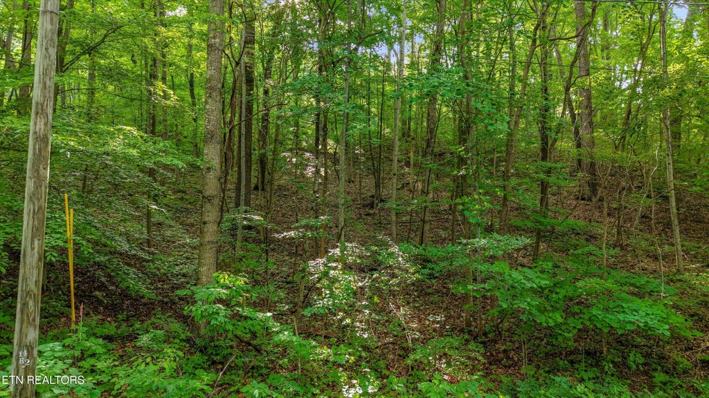 Photo of 2 Graves Hollow Rd, Maynardville, TN 37807 (MLS # 1346036)
