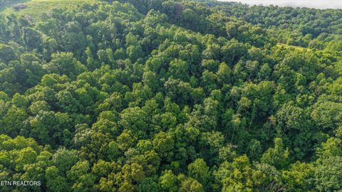 Photo of 2 Graves Hollow Rd, Maynardville, TN 37807 (MLS # 1346036)