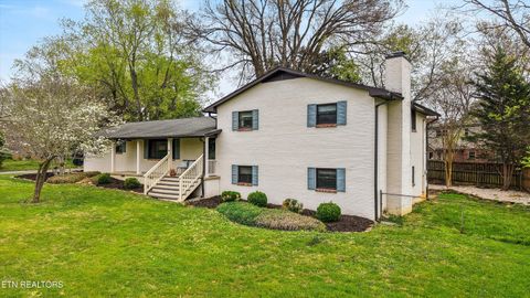 Tiny photo for 216 Highfield Rd, Knoxville, TN 37923 (MLS # 1334636)