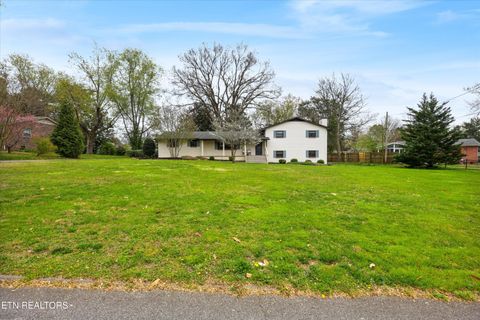 Tiny photo for 216 Highfield Rd, Knoxville, TN 37923 (MLS # 1334636)