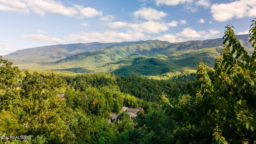 Photo of 843 Deer Path Lane, Gatlinburg, TN 37738 (MLS # 1314714)