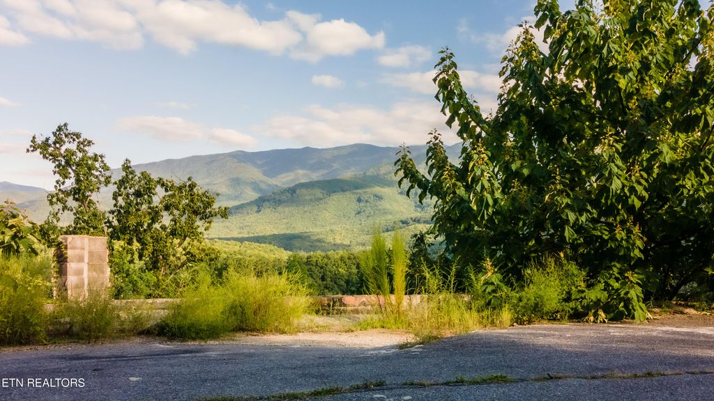 Photo of 843 Deer Path Lane, Gatlinburg, TN 37738 (MLS # 1314714)