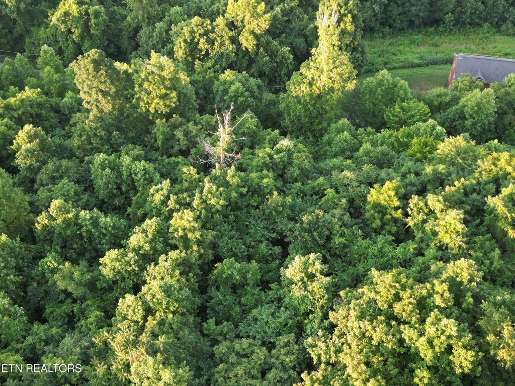 Photo of Eagles Cove Pkwy, Maynardville, TN 37807 (MLS # 1307549)