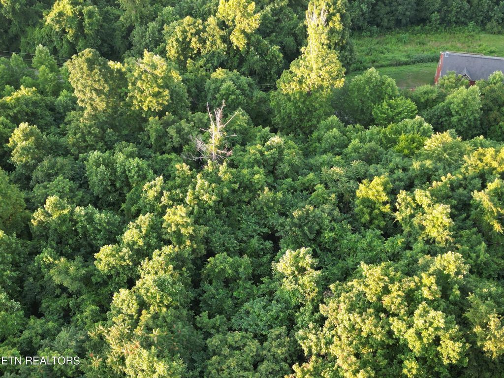 Photo of Eagles Cove Pkwy, Maynardville, TN 37807 (MLS # 1307549)