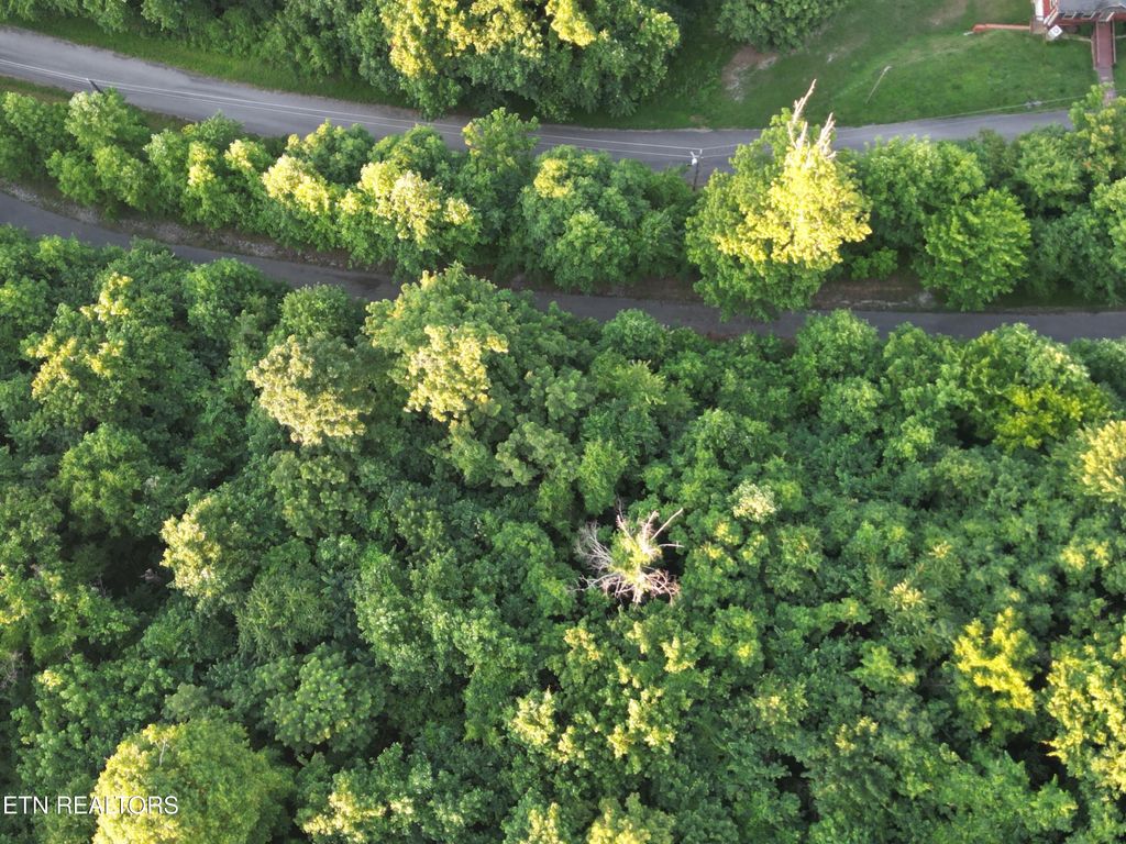 Photo of Eagles Cove Pkwy, Maynardville, TN 37807 (MLS # 1307549)