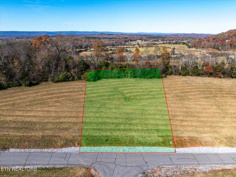 Tiny photo for 65 The Gates Drive, Decatur, TN 37322 (MLS # 1322958)