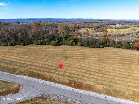 Tiny photo for 65 The Gates Drive, Decatur, TN 37322 (MLS # 1322958)