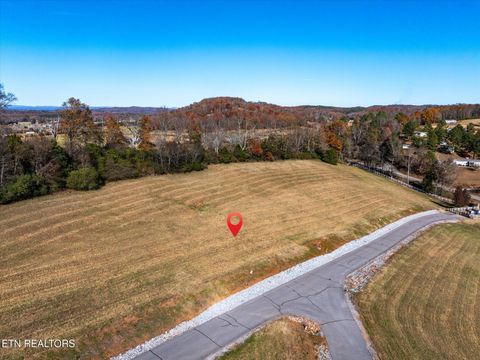 Tiny photo for 65 The Gates Drive, Decatur, TN 37322 (MLS # 1322958)