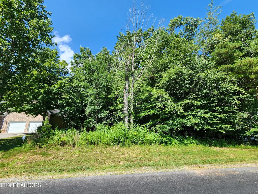 Photo of 122 Golanvyi Tr, Vonore, TN 37885 (MLS # 1307390)