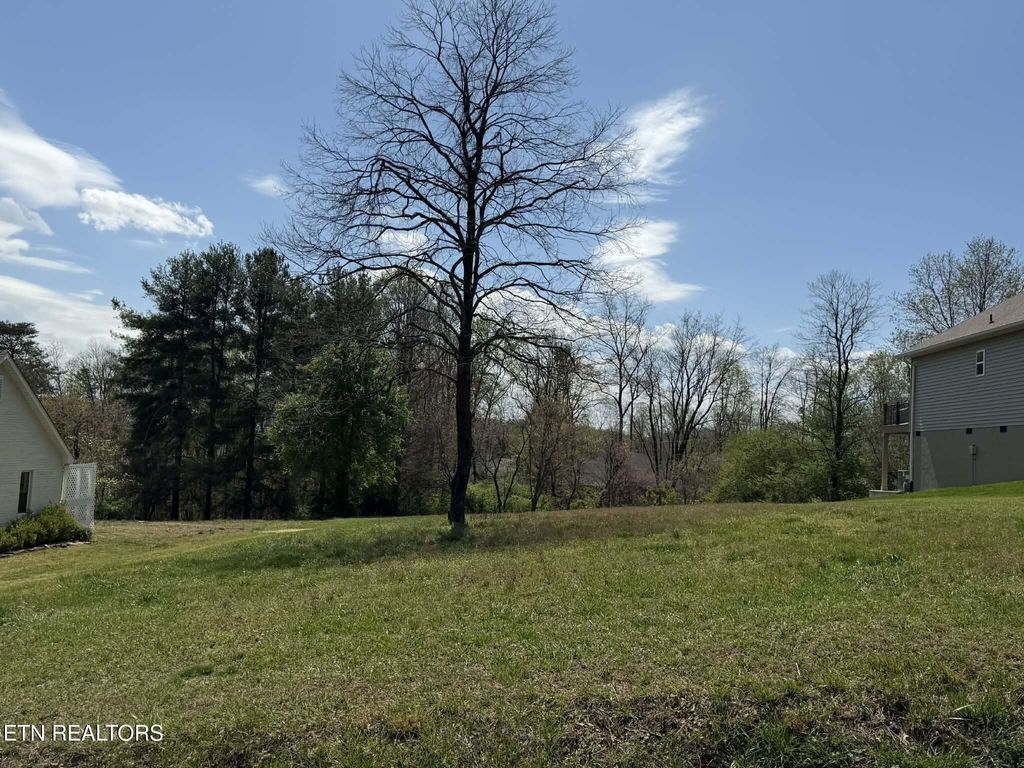 Photo of 323 Tigitsi Way, Loudon, TN 37774 (MLS # 1334892)