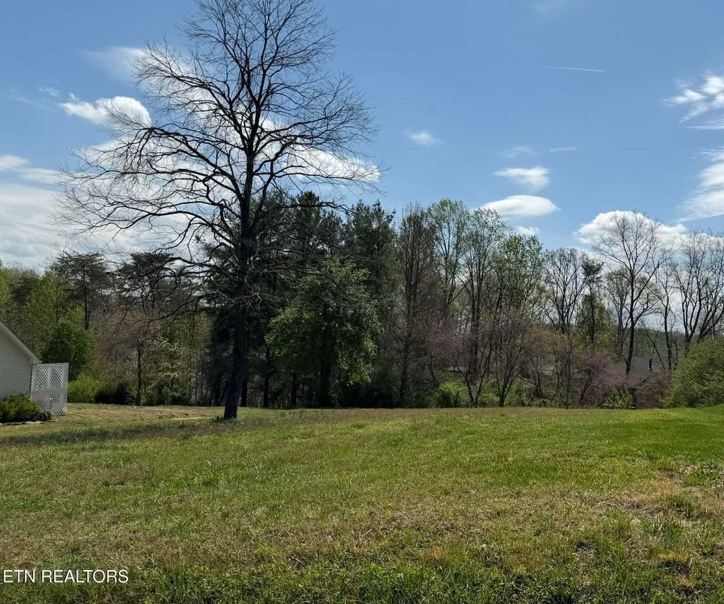 Photo of 323 Tigitsi Way, Loudon, TN 37774 (MLS # 1334892)