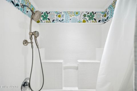 Tiny photo for 124 Oak Grove Lane, Rocky Top, TN 37769 (MLS # 1328833)