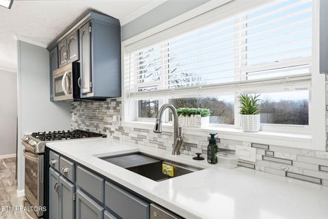 Tiny photo for 124 Oak Grove Lane, Rocky Top, TN 37769 (MLS # 1328833)