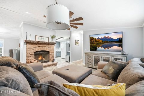 Tiny photo for 124 Oak Grove Lane, Rocky Top, TN 37769 (MLS # 1328833)