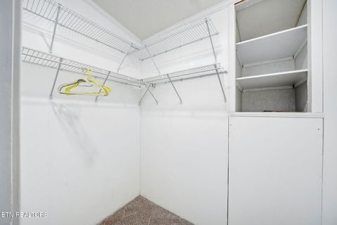 Tiny photo for 124 Oak Grove Lane, Rocky Top, TN 37769 (MLS # 1328833)