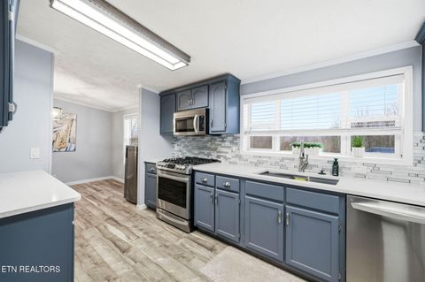 Tiny photo for 124 Oak Grove Lane, Rocky Top, TN 37769 (MLS # 1328833)