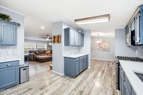 Tiny photo for 124 Oak Grove Lane, Rocky Top, TN 37769 (MLS # 1328833)