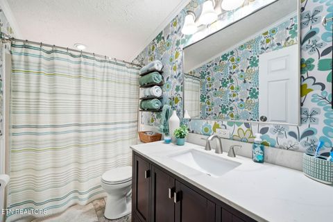 Tiny photo for 124 Oak Grove Lane, Rocky Top, TN 37769 (MLS # 1328833)