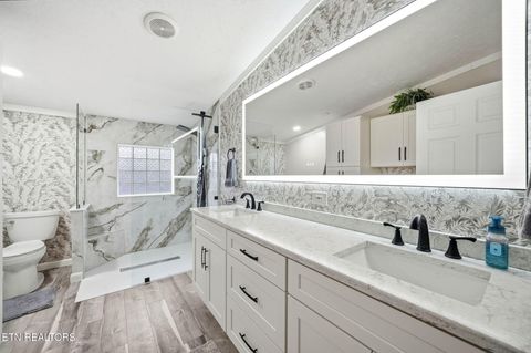 Tiny photo for 124 Oak Grove Lane, Rocky Top, TN 37769 (MLS # 1328833)