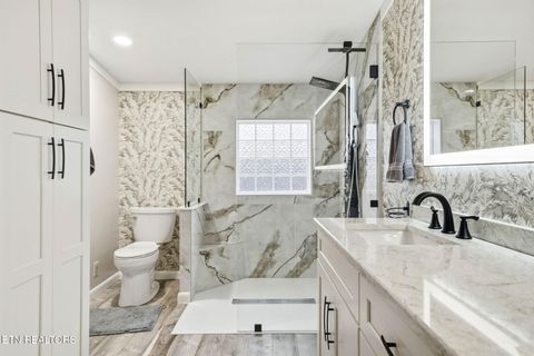 Tiny photo for 124 Oak Grove Lane, Rocky Top, TN 37769 (MLS # 1328833)