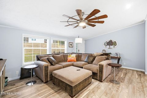 Tiny photo for 124 Oak Grove Lane, Rocky Top, TN 37769 (MLS # 1328833)