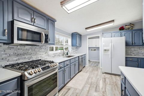 Tiny photo for 124 Oak Grove Lane, Rocky Top, TN 37769 (MLS # 1328833)