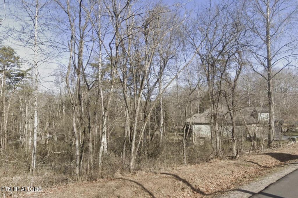 Photo of 105 Chanusi Way Way, Loudon, TN 37774 (MLS # 1327665)