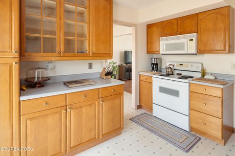 Tiny photo for 8912 Moneymaker Drive, Knoxville, TN 37923 (MLS # 1335008)