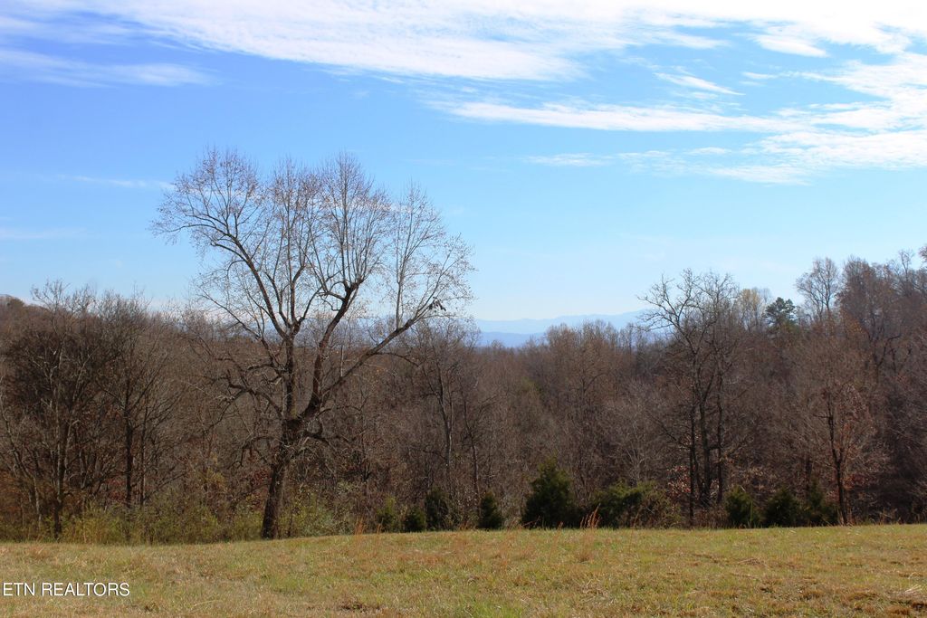 Photo of Wayne Bryant Rd, Louisville, TN 37777 (MLS # 1246628)